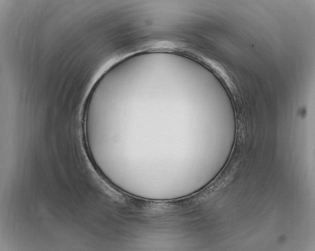 X0000096201475200802151514