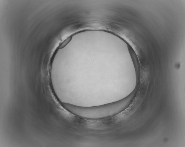 X0000096201477200802151514