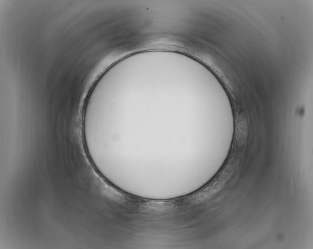 X0000096201478200802151514