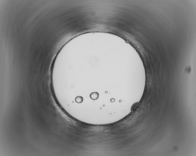 X0000096201479200802151514