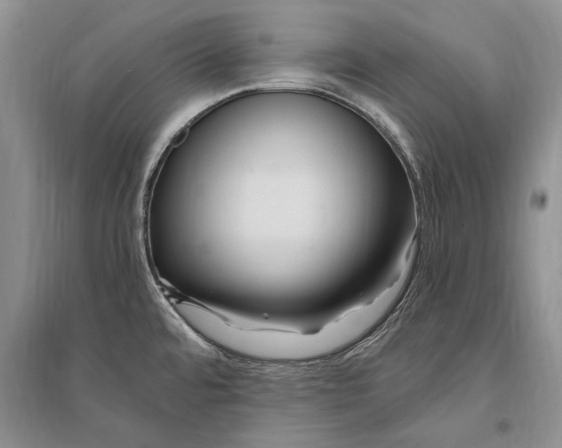 X0000096201480200802151514