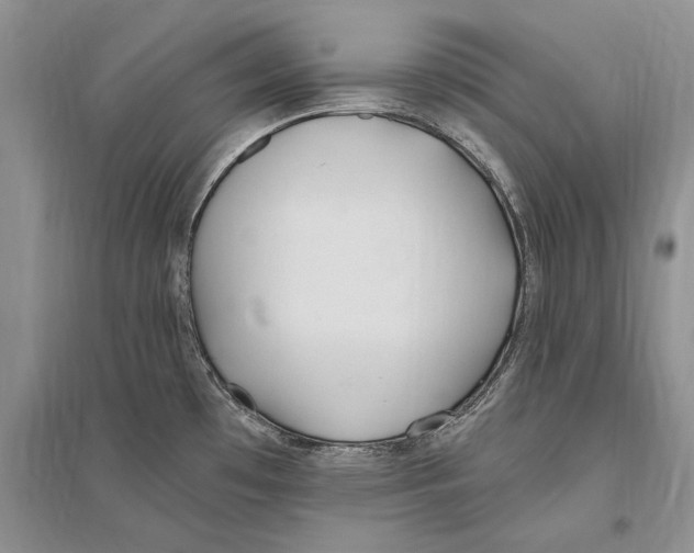 X0000096201481200802151514