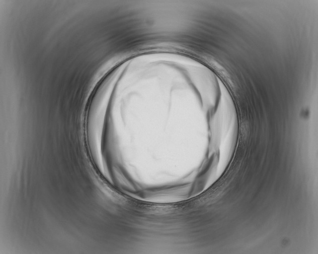 X0000096201482200802151514