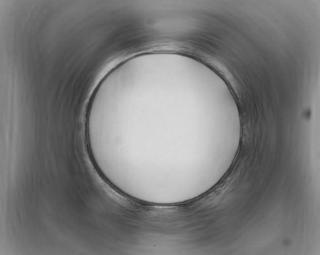 X0000096201483200802151514