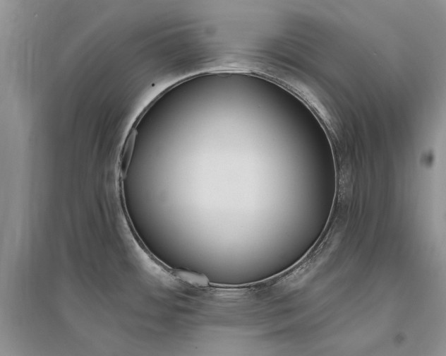 X0000096201484200802151514