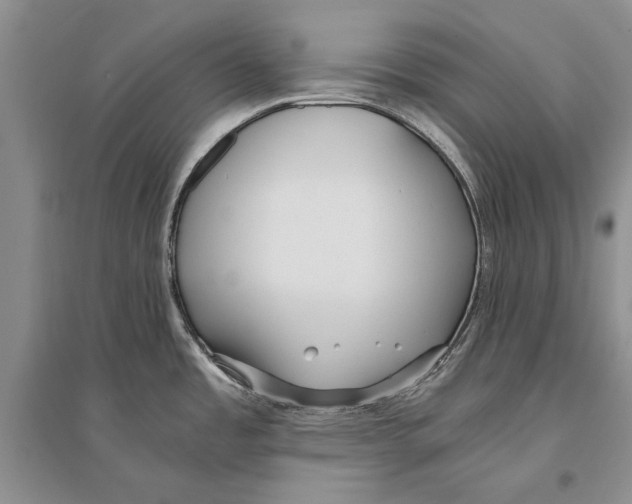 X0000096201485200802151514