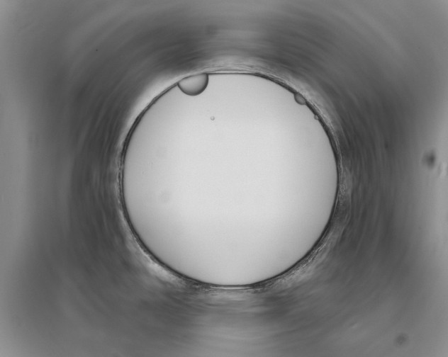 X0000096201486200802151514