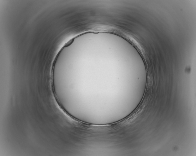 X0000096201487200802151514