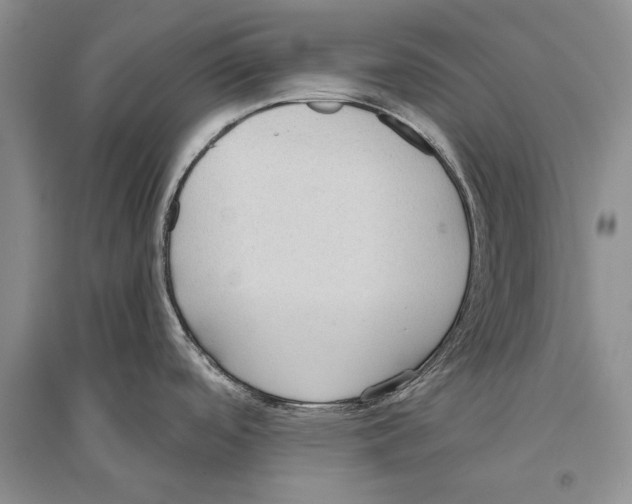 X0000096201488200802151514