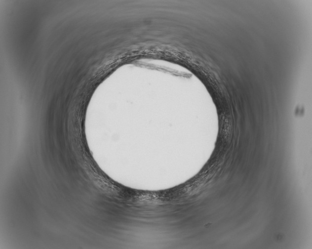 X0000096201489200802151513