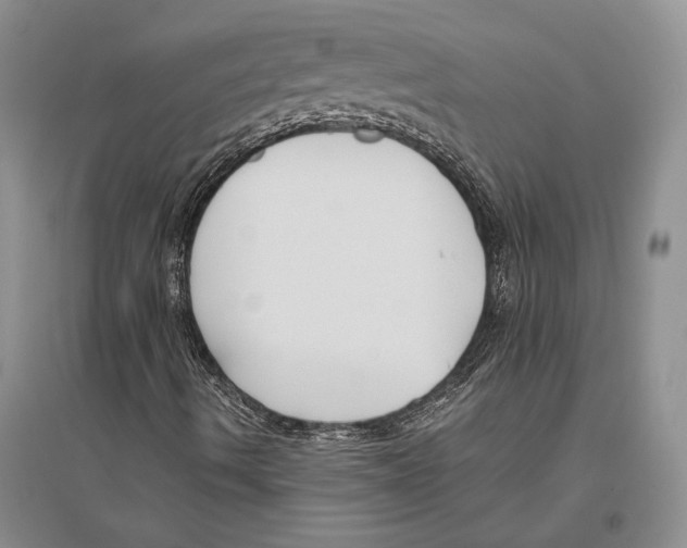 X0000096201490200802151513