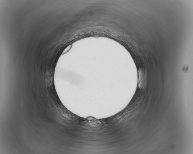 X0000096201491200802151513