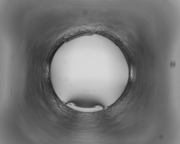 X0000096201492200802151513