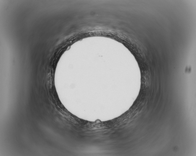 X0000096201493200802151513