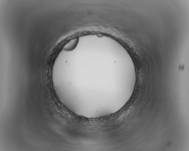 X0000096201494200802151513