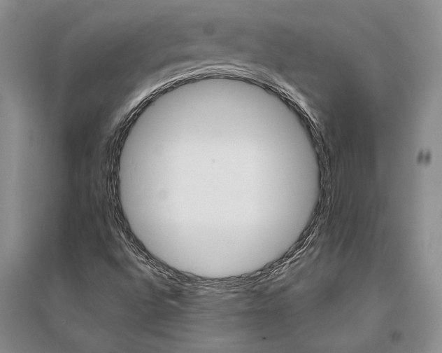 X0000096201496200802151513