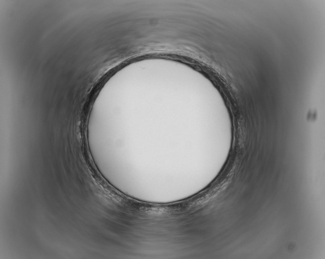 X0000096201497200802151513