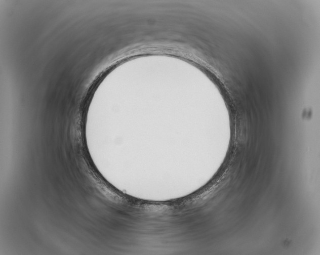 X0000096201498200802151513