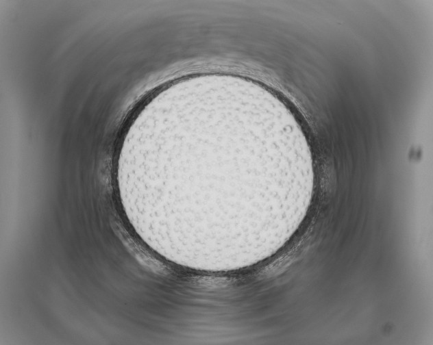 X0000096201499200802151513