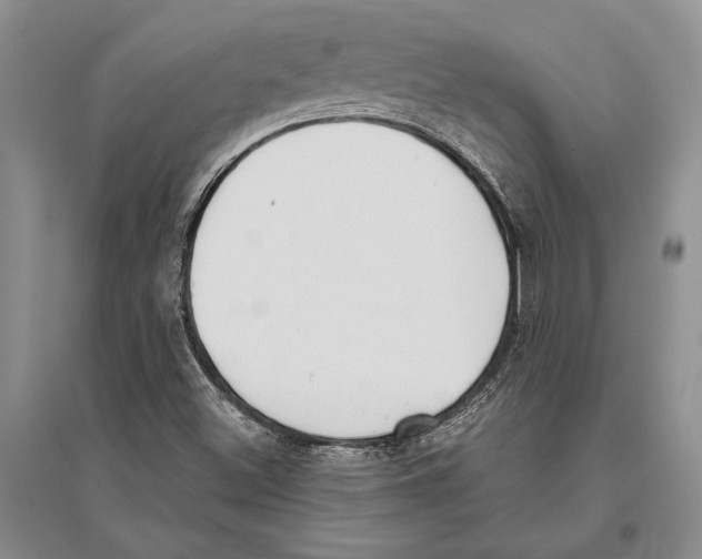 X0000096201500200802151513