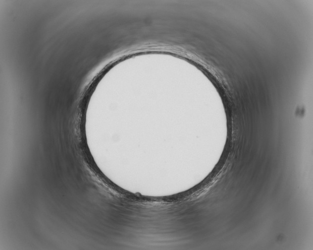 X0000096201502200802151513