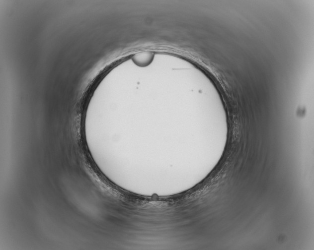 X0000096201503200802151513