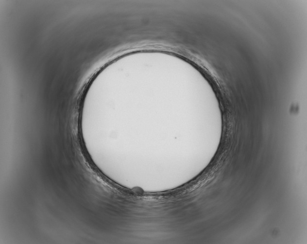 X0000096201504200802151513