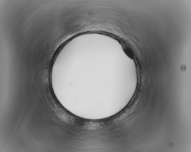 X0000096201505200802151513