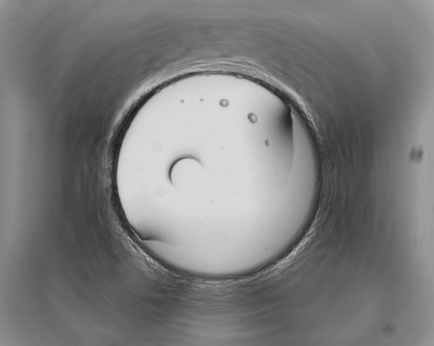 X0000096201506200802151513