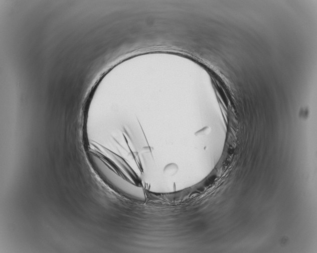 X0000096201508200802151513