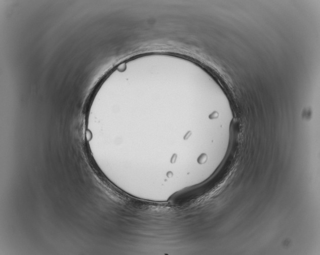 X0000096201509200802151513