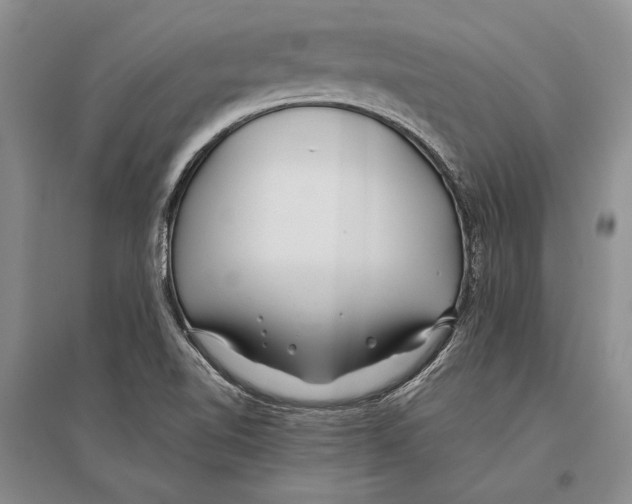 X0000096201510200802151513