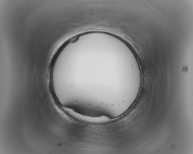 X0000096201511200802151513