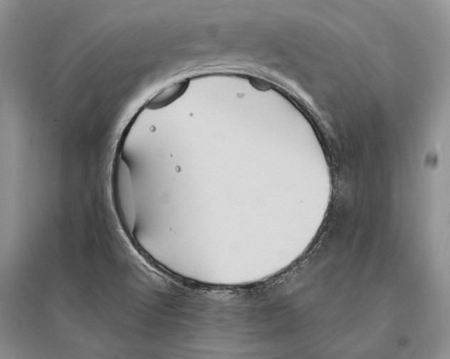 X0000096201512200802151513