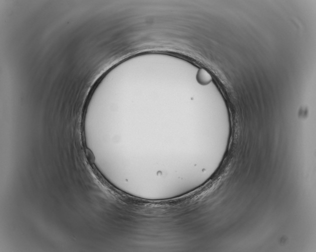 X0000096201513200802151513