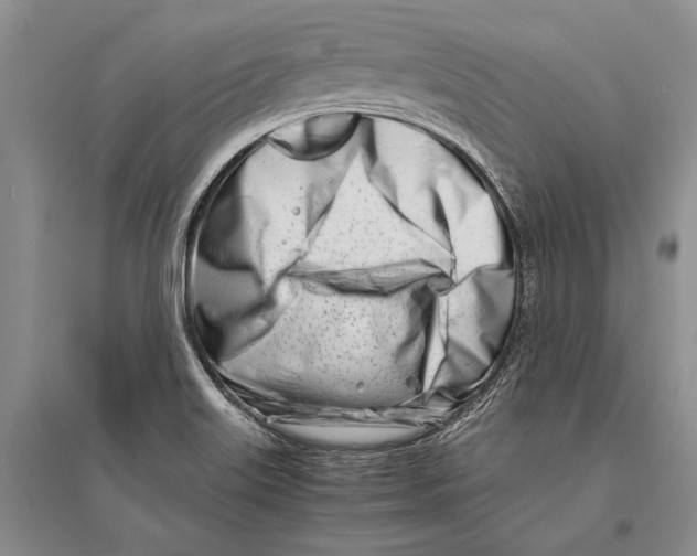 X0000096201515200802151513