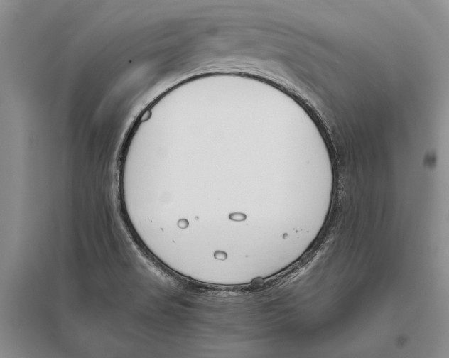 X0000096201517200802151514