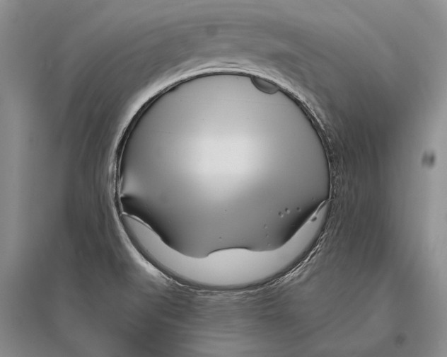 X0000096201519200802151514