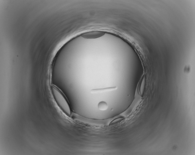 X0000096201520200802151514