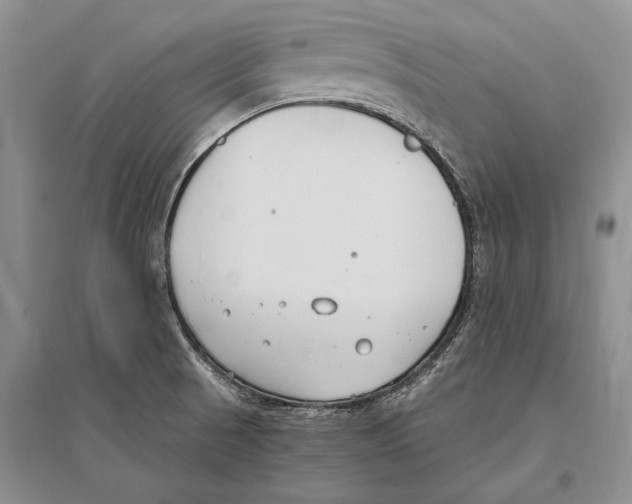 X0000096201521200802151514