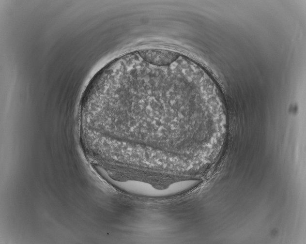 X0000096201522200802151514