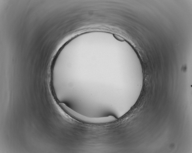 X0000096201523200802151514