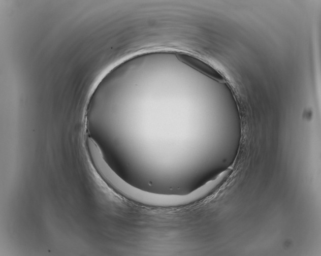 X0000096201524200802151514