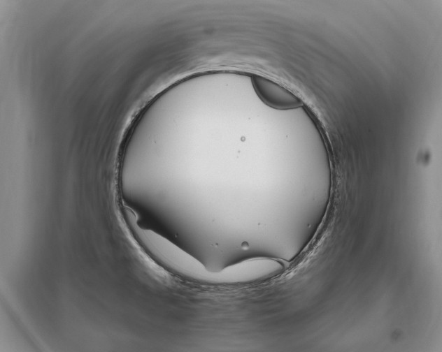 X0000096201525200802151514