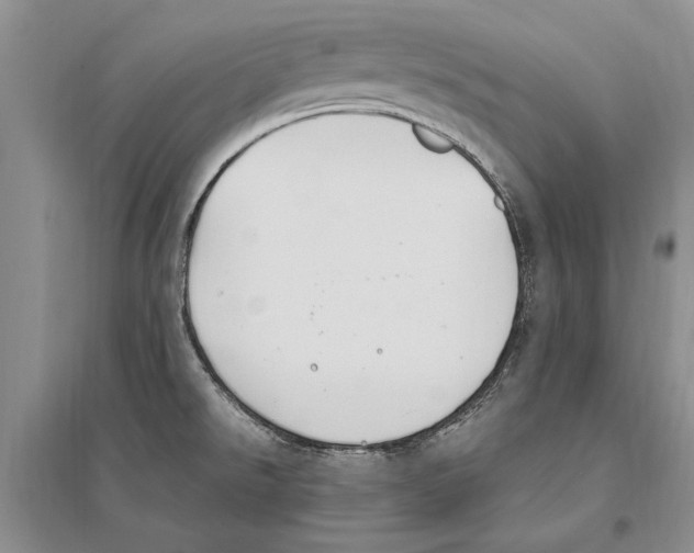 X0000096201526200802151514