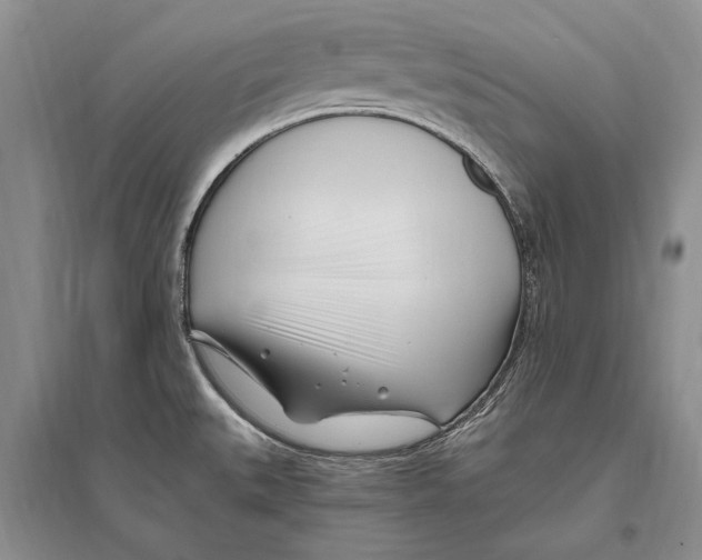 X0000096201527200802151514