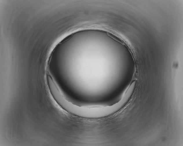 X0000096201528200802151514