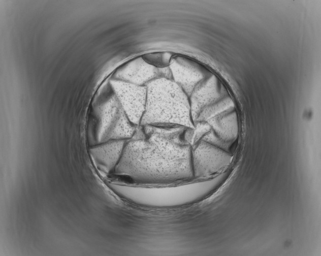 X0000096201529200802151514