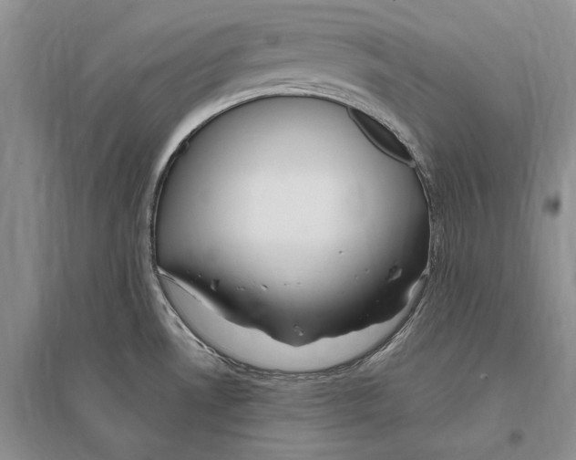 X0000096201530200802151514