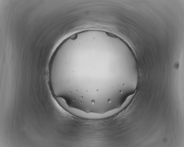 X0000096201531200802151514